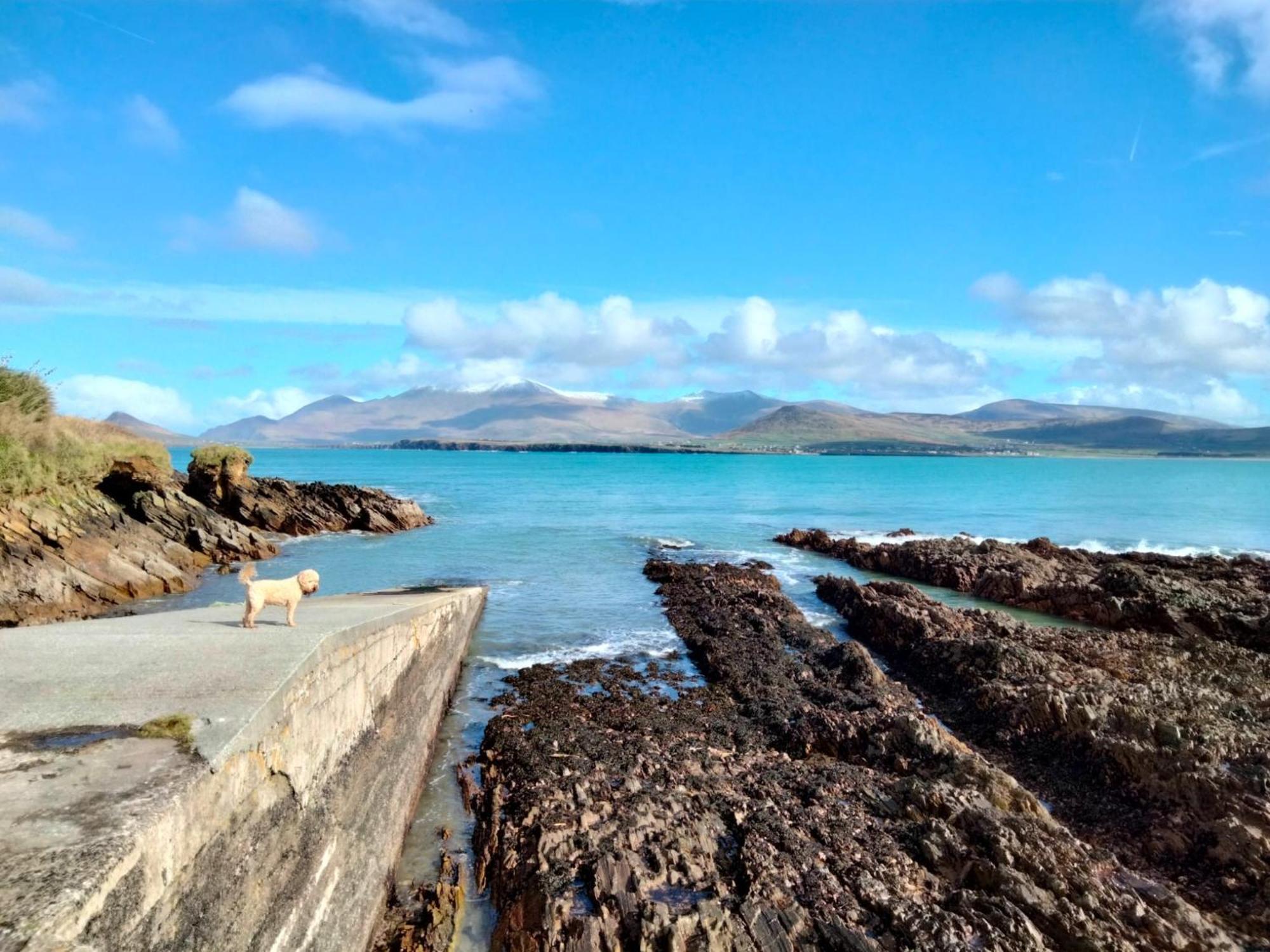 Murphy'S Guesthouse Dingle Exteriér fotografie